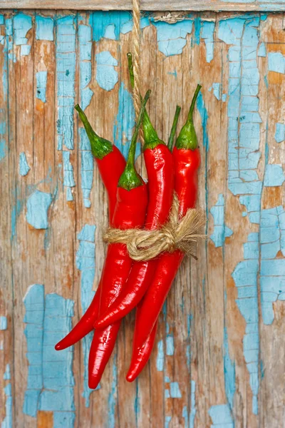 Chilli. — Stock fotografie