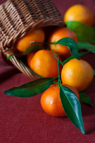 Tangerinas. — Fotografia de Stock