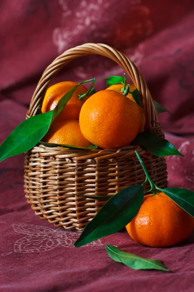 Mandarini. — Foto Stock