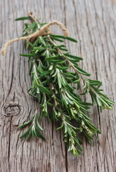 Rosemary. — Stock Photo, Image