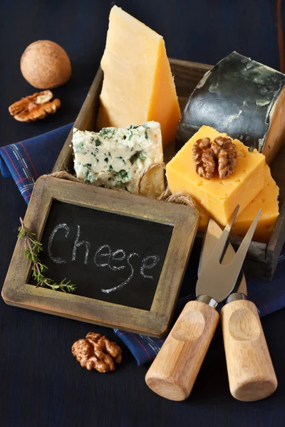 Cheese composition. — Stock Photo, Image