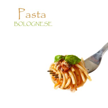 Bolognese.