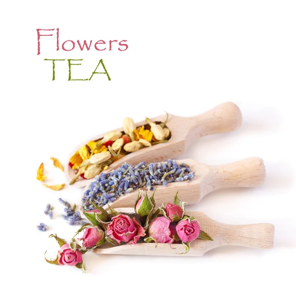 Flores de té . — Foto de Stock