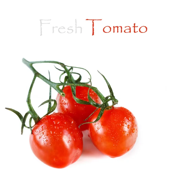 Tomaten. — Stockfoto