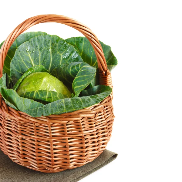 Cabbage. — Stock Photo, Image