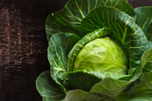 Fresh cabbage. — Stock Photo, Image