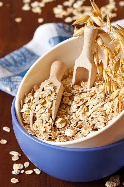 Oat flakes. — Stock Photo, Image