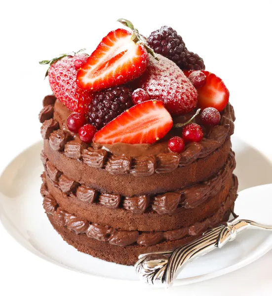Délicieux gâteau au chocolat . — Photo