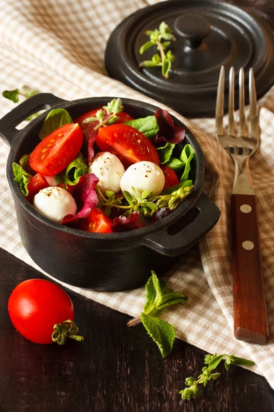 Salát. — Stock fotografie