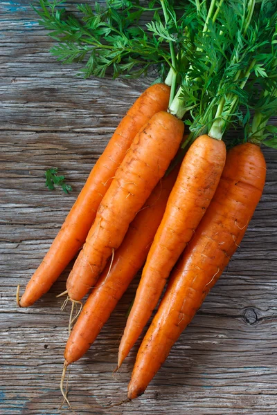 Carrot. — Stock Photo, Image