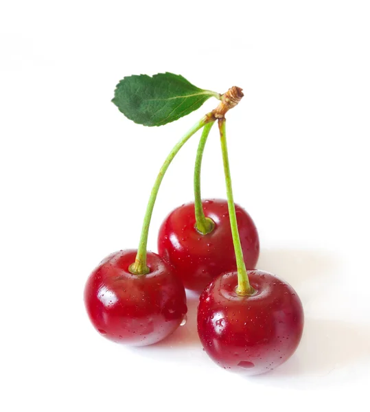 Sweet cherry. — Zdjęcie stockowe