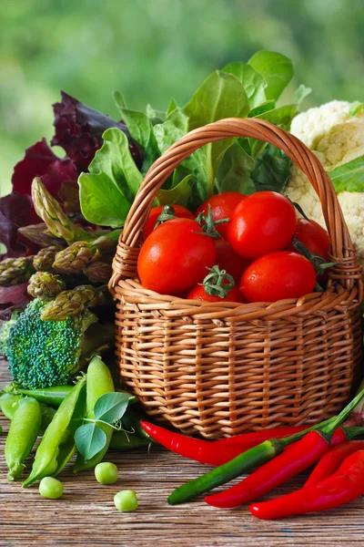 Harvest. — Stock Photo, Image