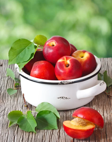 Nectarines. — Stockfoto