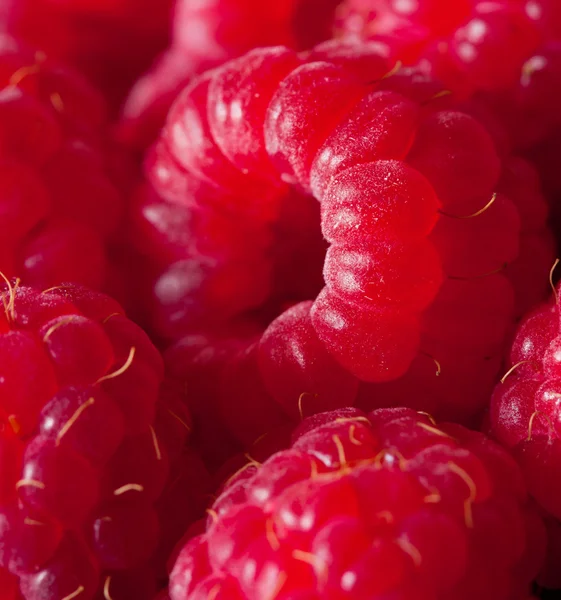 Raspberry. — Stock Photo, Image