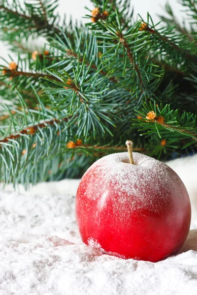 Kerstmis apple. — Stockfoto