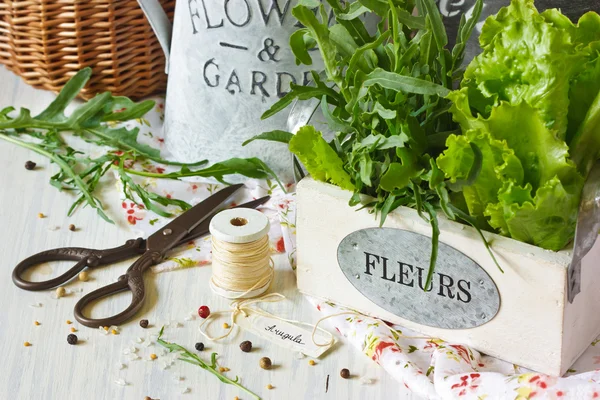 Herbs and spices. — Stock Photo, Image