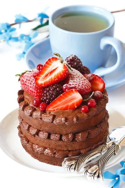 Delicioso bolo de chocolate . — Fotografia de Stock