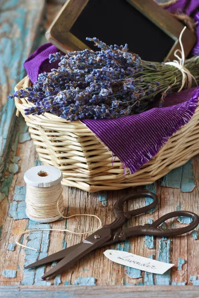 Lavanda. — Fotografia de Stock