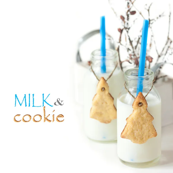 Milk and cookies. — Stock Photo, Image
