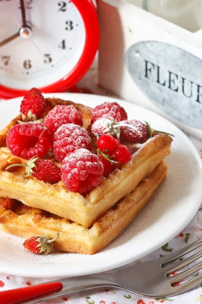 Gaufre belge . — Photo