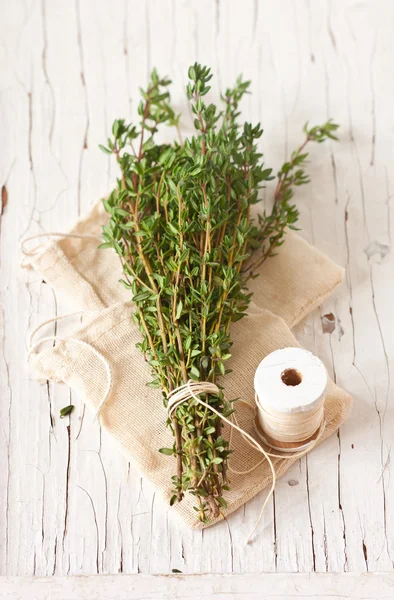 Thyme. — Stock Photo, Image