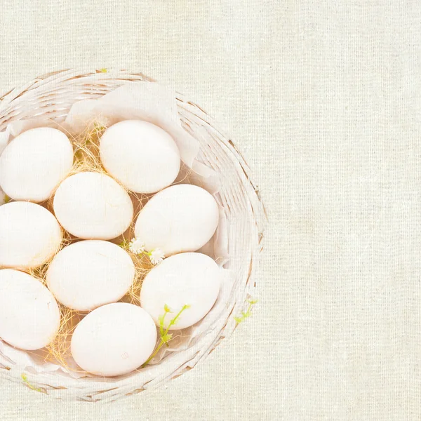 Paskalya yumurtaları. — Stok fotoğraf