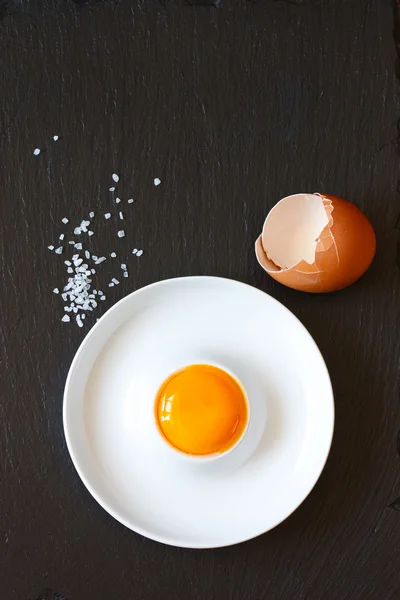Egg. — Stock Photo, Image