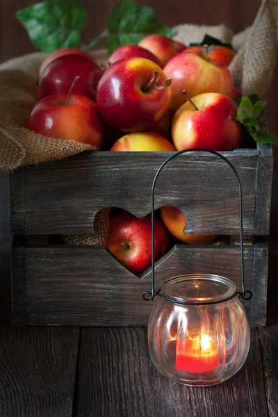 Verse oogst van appels. — Stockfoto