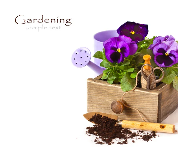 Gardening. — Stock Photo, Image