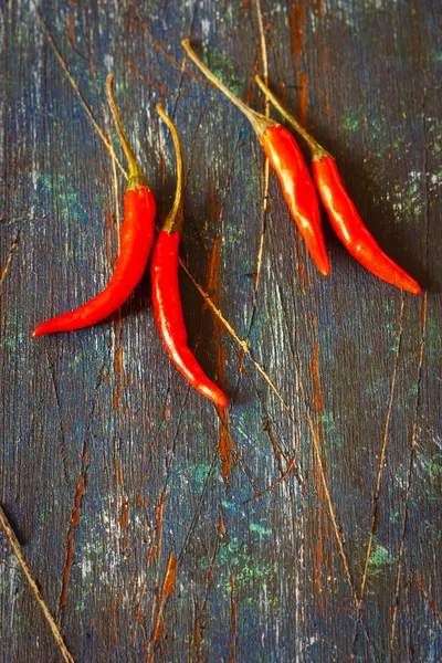 Chilli. — Stock fotografie