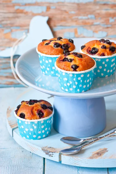 Muffins. — Stockfoto