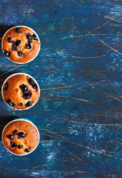 Blueberry muffins. — Stock Photo, Image