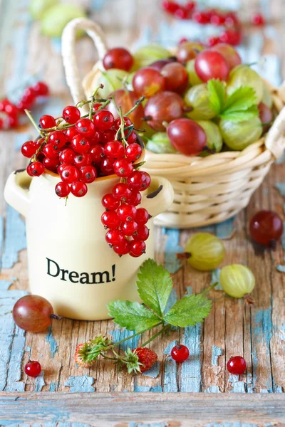 Beeren. — Stockfoto