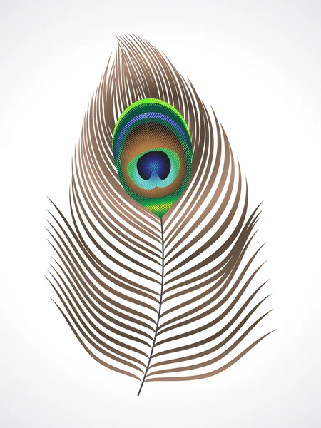 Pluma abstracta del pavo real — Archivo Imágenes Vectoriales