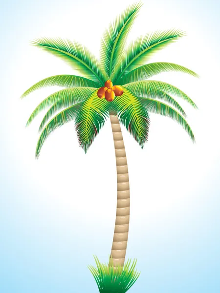 Detaljerad palmträd med kokos — Stock vektor