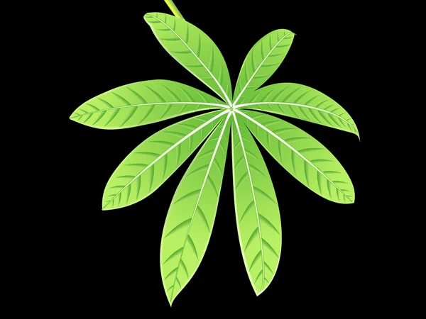 추상 녹색 자세한 잎 — 스톡 벡터