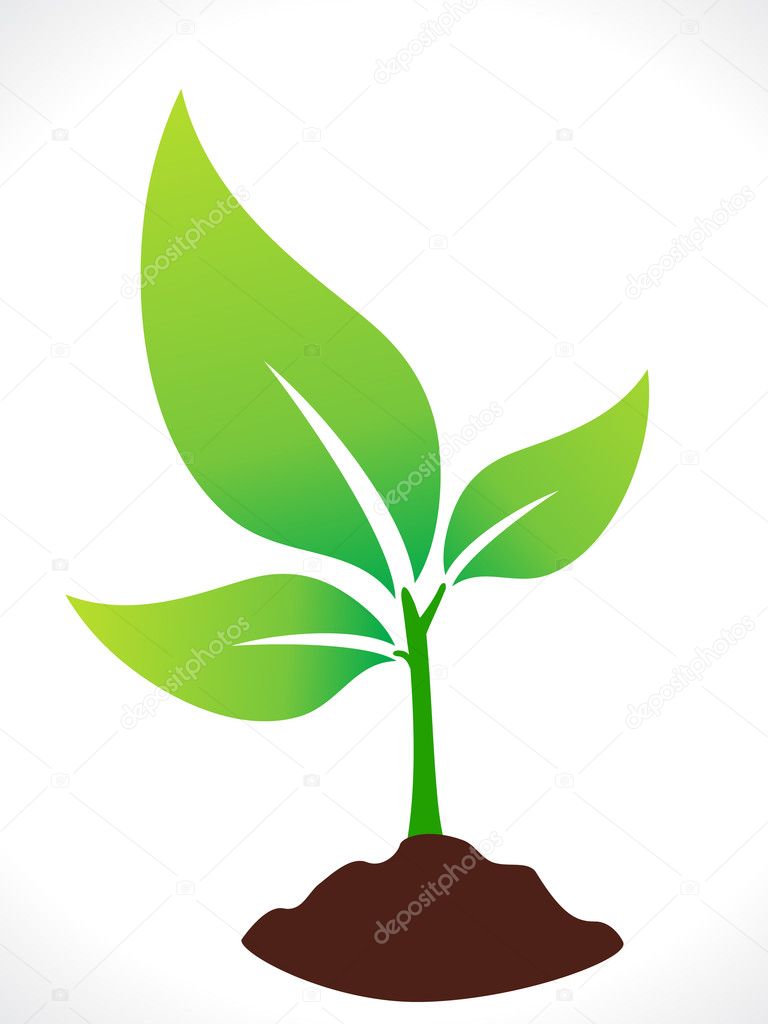 abstract eco green plant with soil