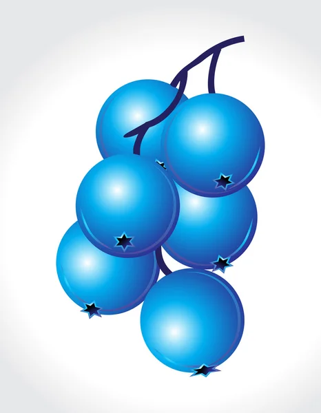 Fruits de baies bleues — Image vectorielle