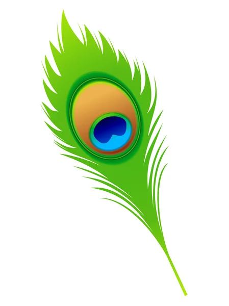 Abstract peacock feather — Stock Vector