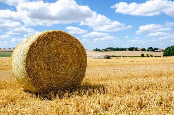 Rolled Hay Bales Wheat Field Dry Meadow Harvest Perdesaan Agriculture — Stok Foto