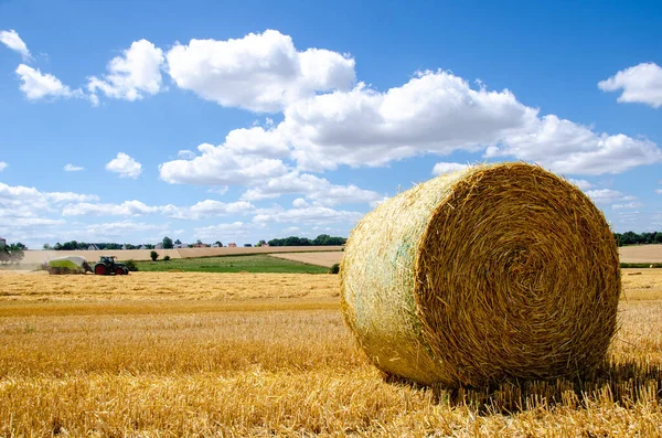 Rolled Hay Bales Wheat Field Dry Meadow Harvest Perdesaan Agriculture — Stok Foto