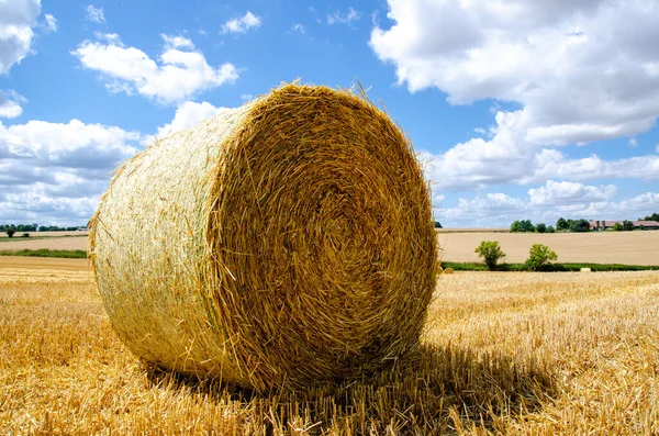 Opgerold Hooibalen Tarwe Veld Droge Weide Oogst Plattelands Landbouwgebied — Stockfoto