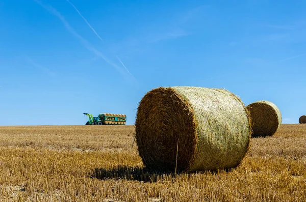 Rolled Hay Bales Wheat Field Dry Meadow Harvest Perdesaan Agriculture — Stok Foto