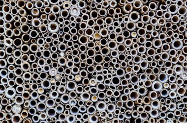 Bambu duvar doku arka plan üzerinde dilim çapraz