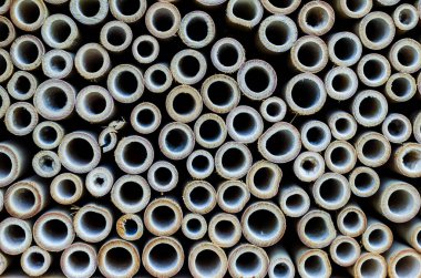 Bambu duvar doku arka plan üzerinde dilim çapraz