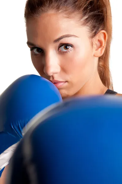 Жіночий боксер готовий битися — стокове фото