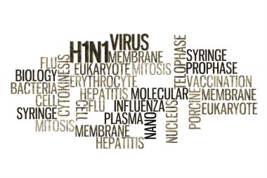 metin bulut h1n1 virüsü