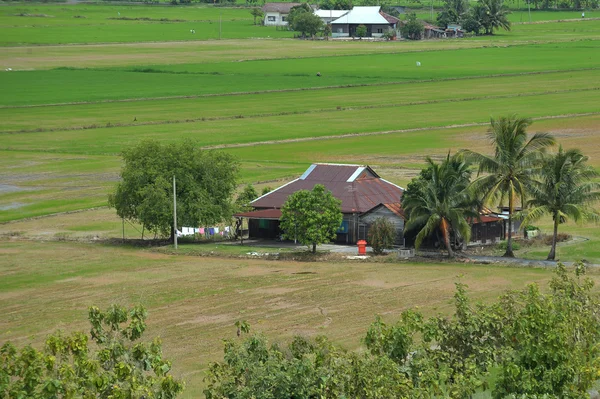 Farmers village on the green field — Stock Photo, Image