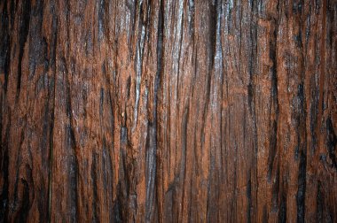 doku yüzey doğal ahşap arka plan