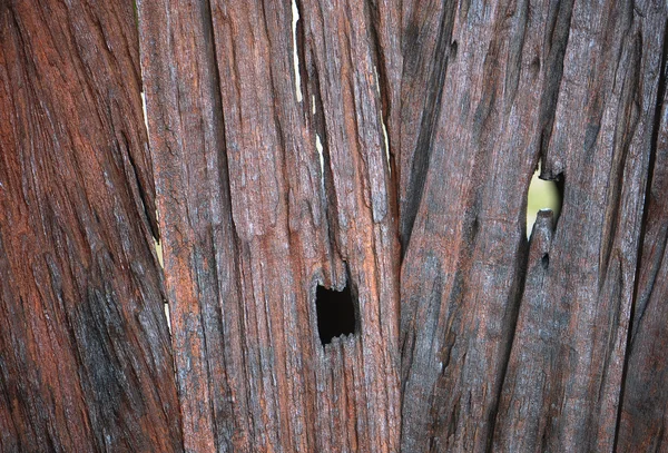 Textur Oberfläche Natur Holz Hintergrund — Stockfoto